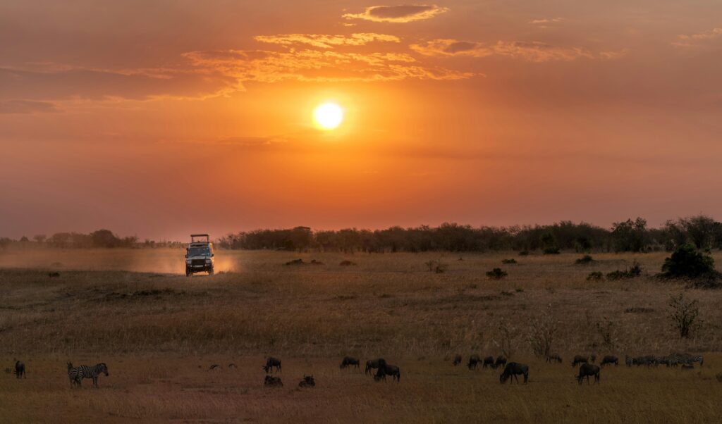 The sun setting over the South African bush